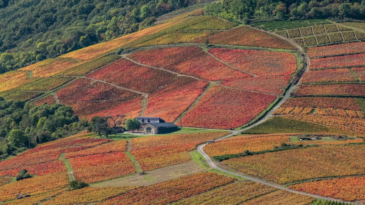 Le domaine niché au milieu des vignes aux couleurs d'automne