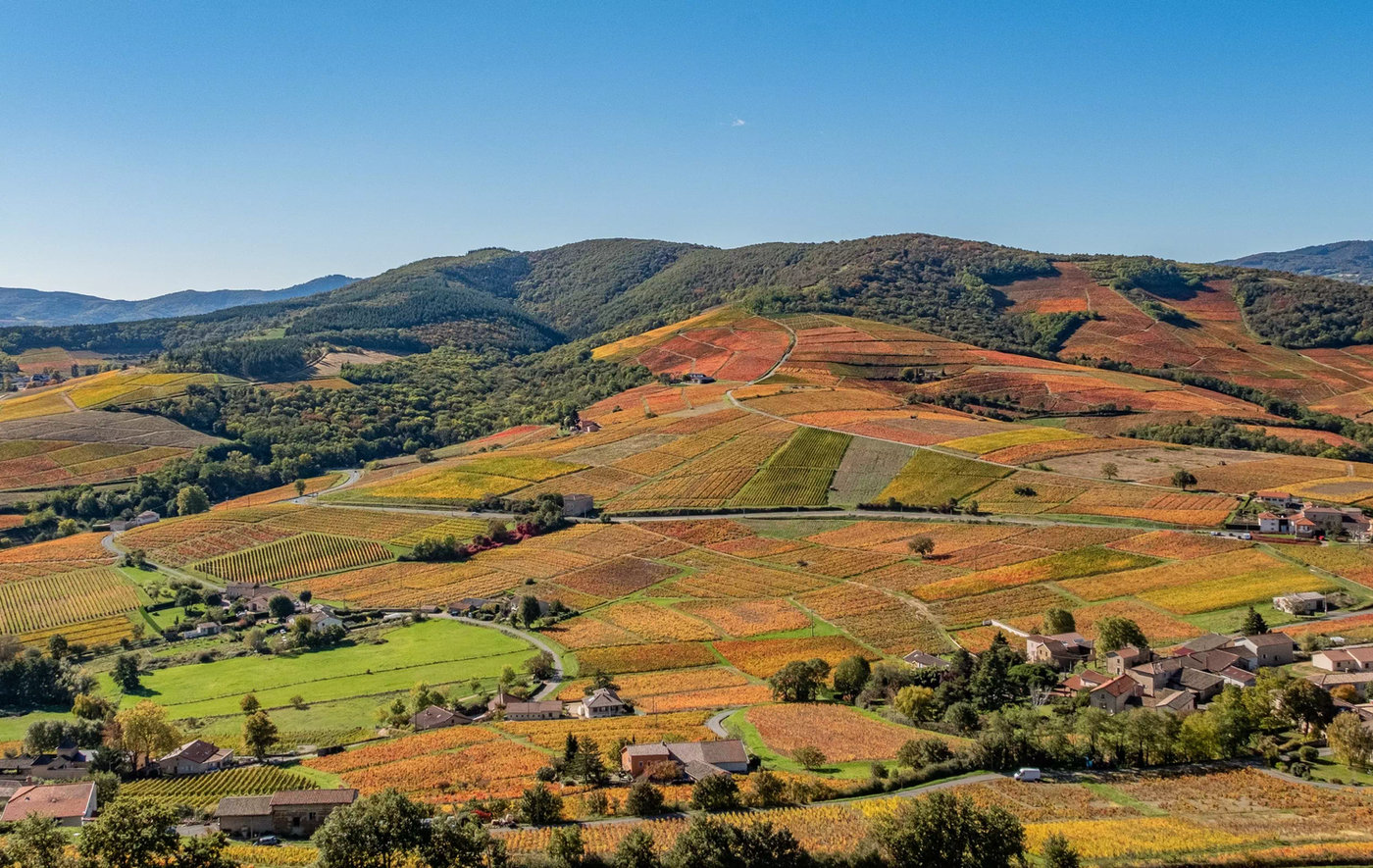 Panorama sur les coteaux et les villages du Beaujolais